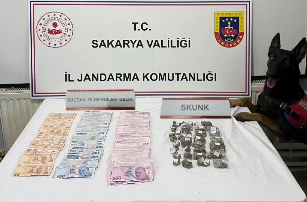 JANDARMADAN UYUŞTURUCU VE KAÇAKÇILIK OPERASYONU: 1 TUTUKLAMA  