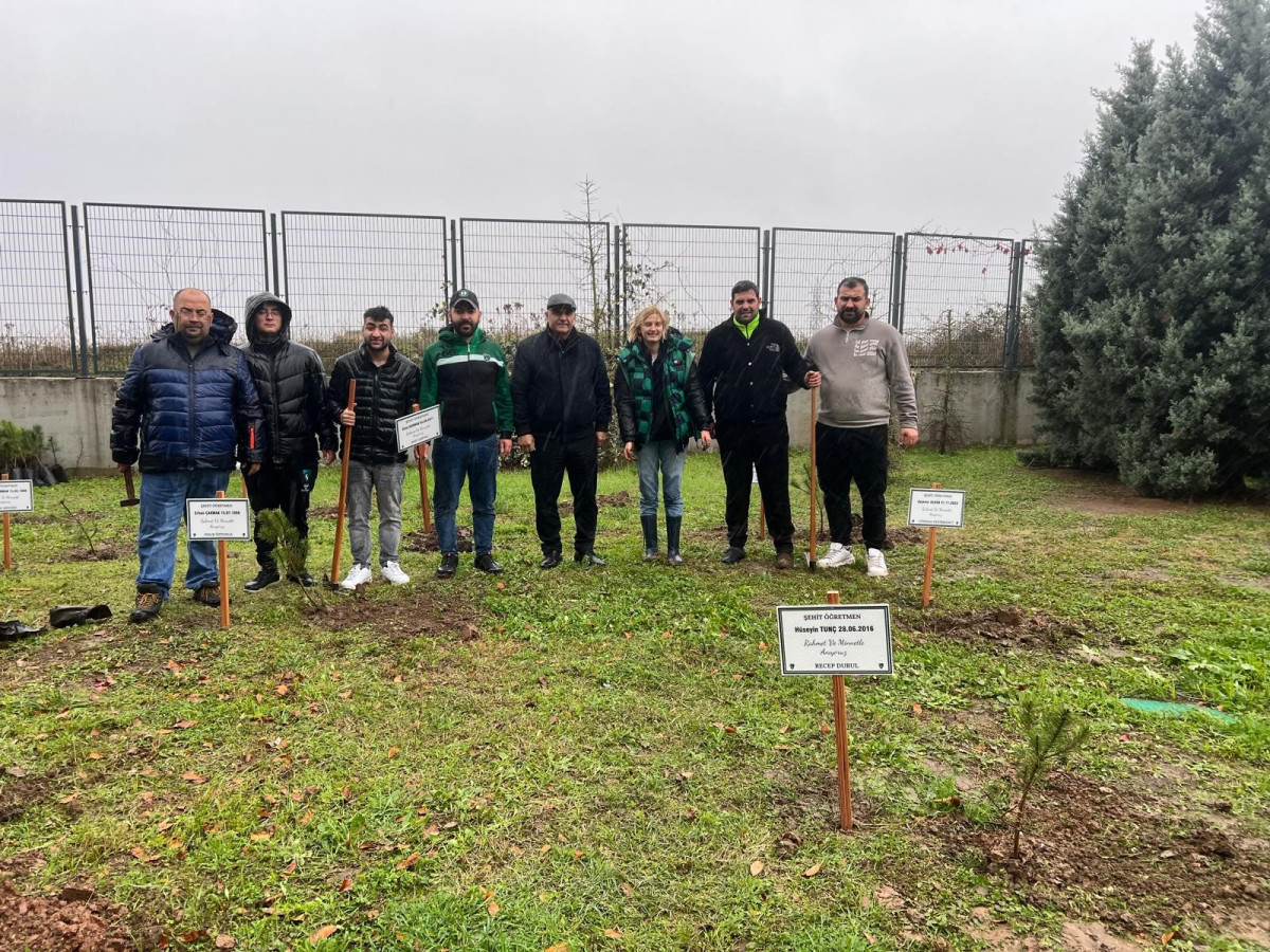 ŞEHİT ÖĞRETMENLER İÇİN STADYUM ÇEVRESİNE AĞAÇ DİKTİLER